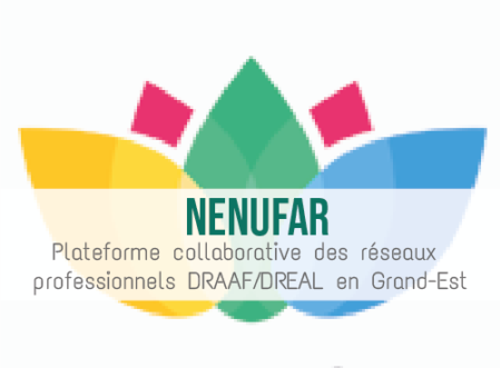 Illustration article NENUFAR la plateforme des métiers DRAAF - DREAL en Grand-Est