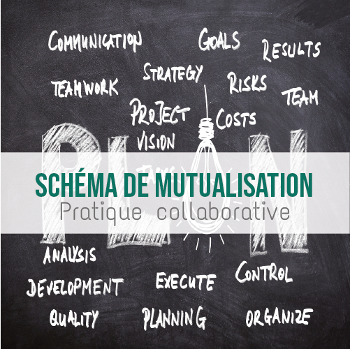 Illustration article Schéma de mutualisation et pratique collaborative